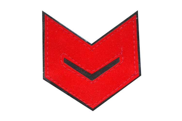 Exemptee Head Constable (HC-CII)